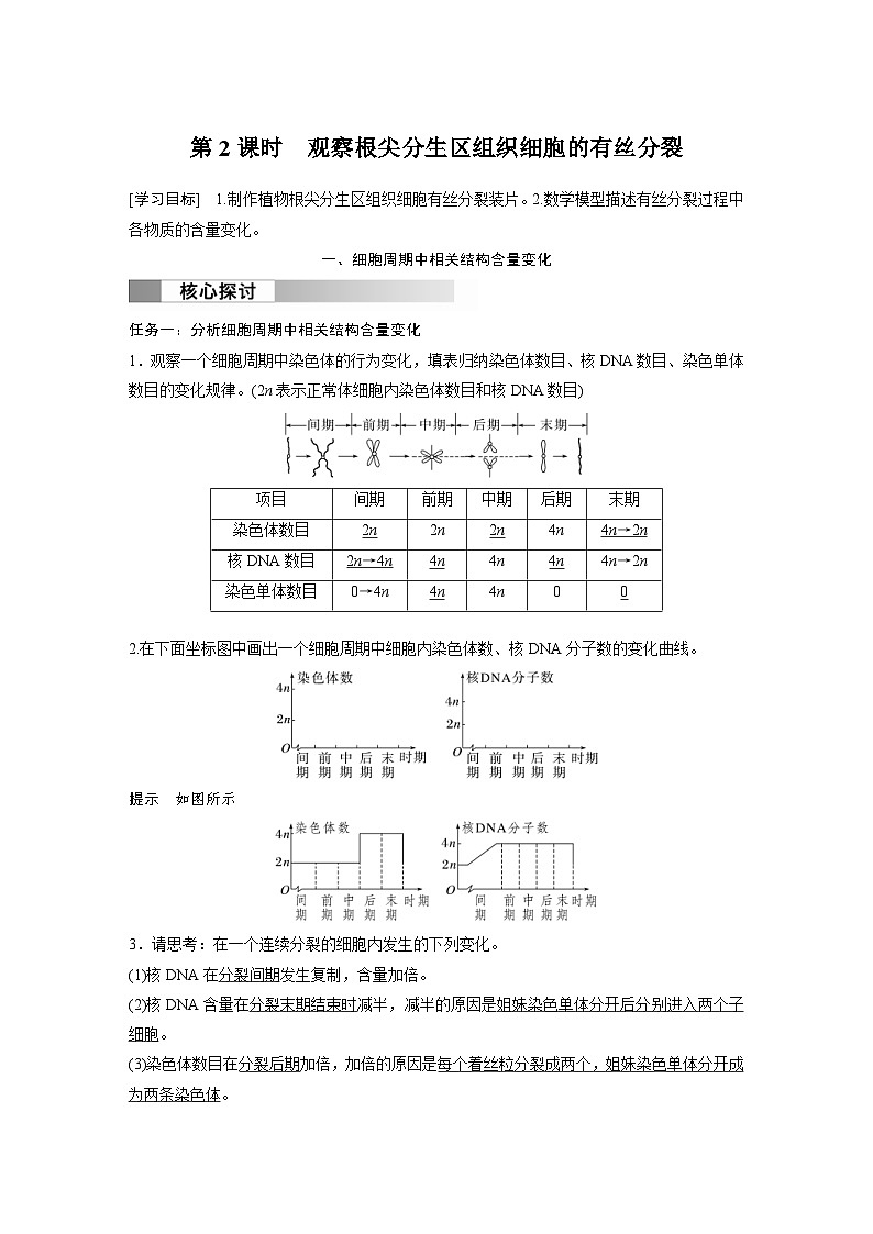 2024年高中生物新教材同步学案 必修第一册 第6章 第1节　第2课时　观察根尖分生区组织细胞的有丝分裂（含解析）01