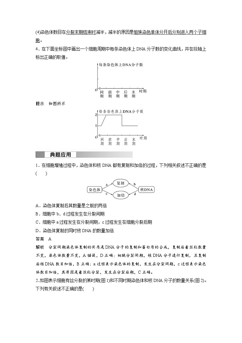 2024年高中生物新教材同步学案 必修第一册 第6章 第1节　第2课时　观察根尖分生区组织细胞的有丝分裂（含解析）02