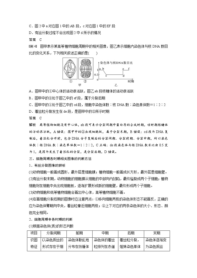 2024年高中生物新教材同步学案 必修第一册 第六章 微专题五　与有丝分裂过程相关的图像和曲线分析（含解析）03