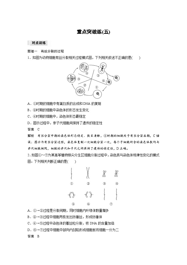 2024年高中生物新教材同步学案 必修第一册 第6章 重点突破练(五)（含解析）01