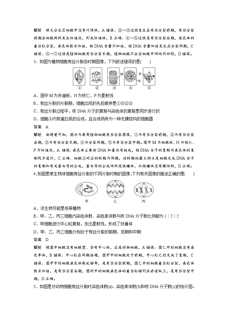 2024年高中生物新教材同步学案 必修第一册 第6章 重点突破练(五)（含解析）02
