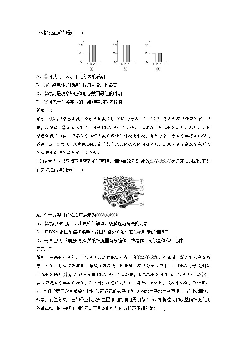 2024年高中生物新教材同步学案 必修第一册 第6章 重点突破练(五)（含解析）03