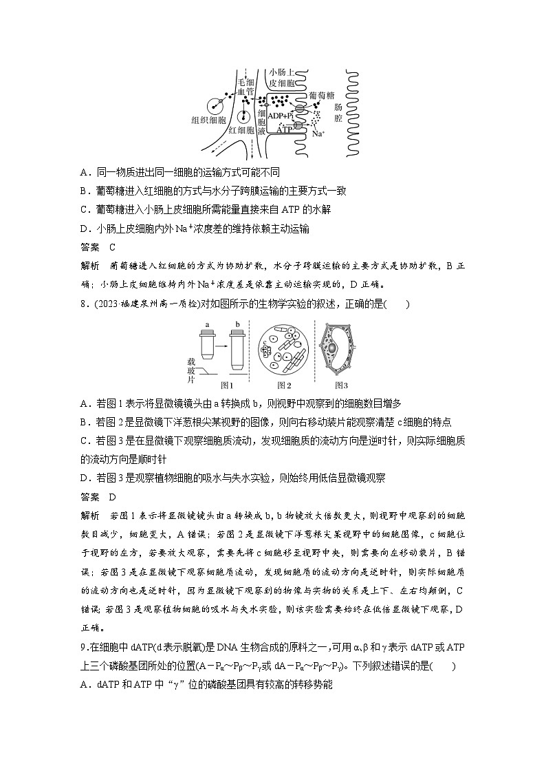 2024年高中生物新教材同步学案 必修第一册 模块检测试卷（含解析）03