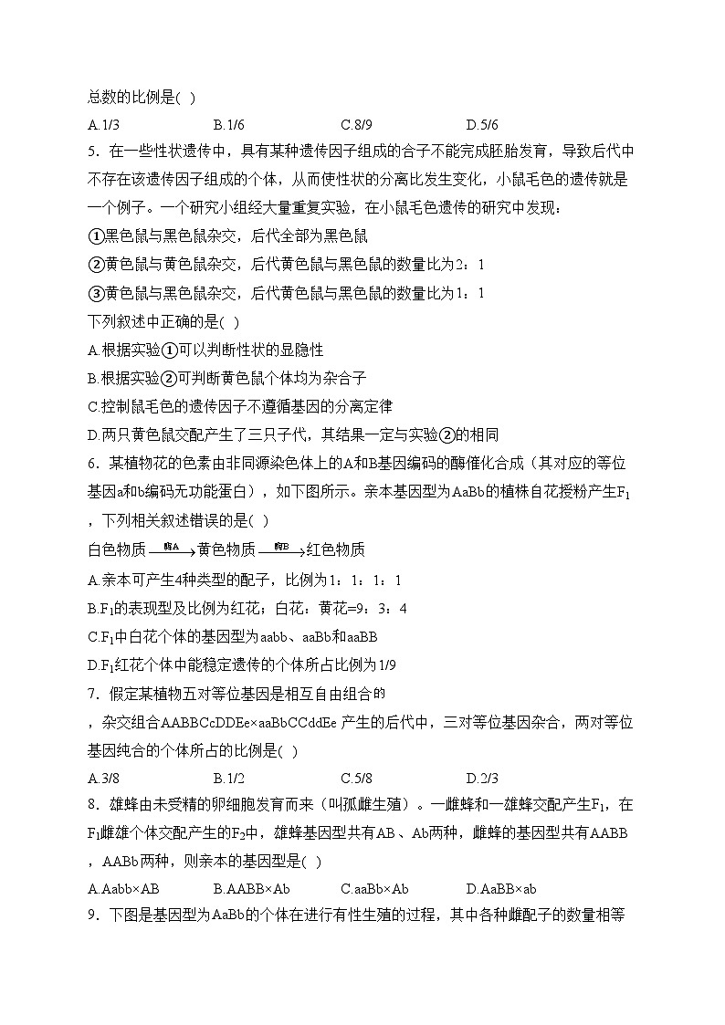 甘肃省武威市民勤县第一中学2023-2024学年高一下学期3月月考生物试卷(含答案)第2页
