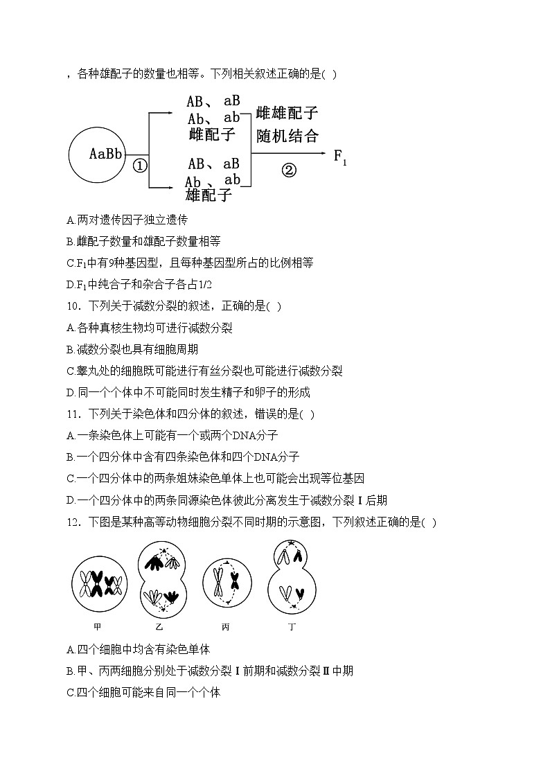 甘肃省武威市民勤县第一中学2023-2024学年高一下学期3月月考生物试卷(含答案)第3页