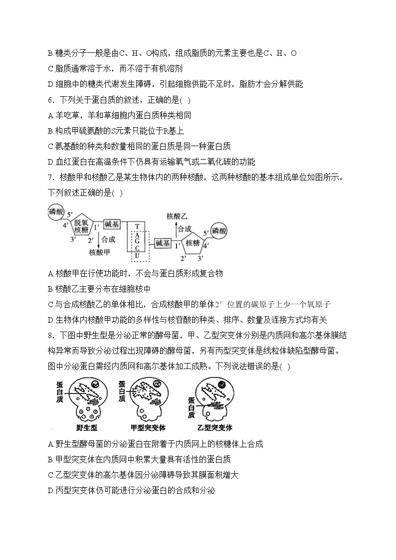 会昌县第三中学2023届高三上学期期中考试生物试卷(含答案)02