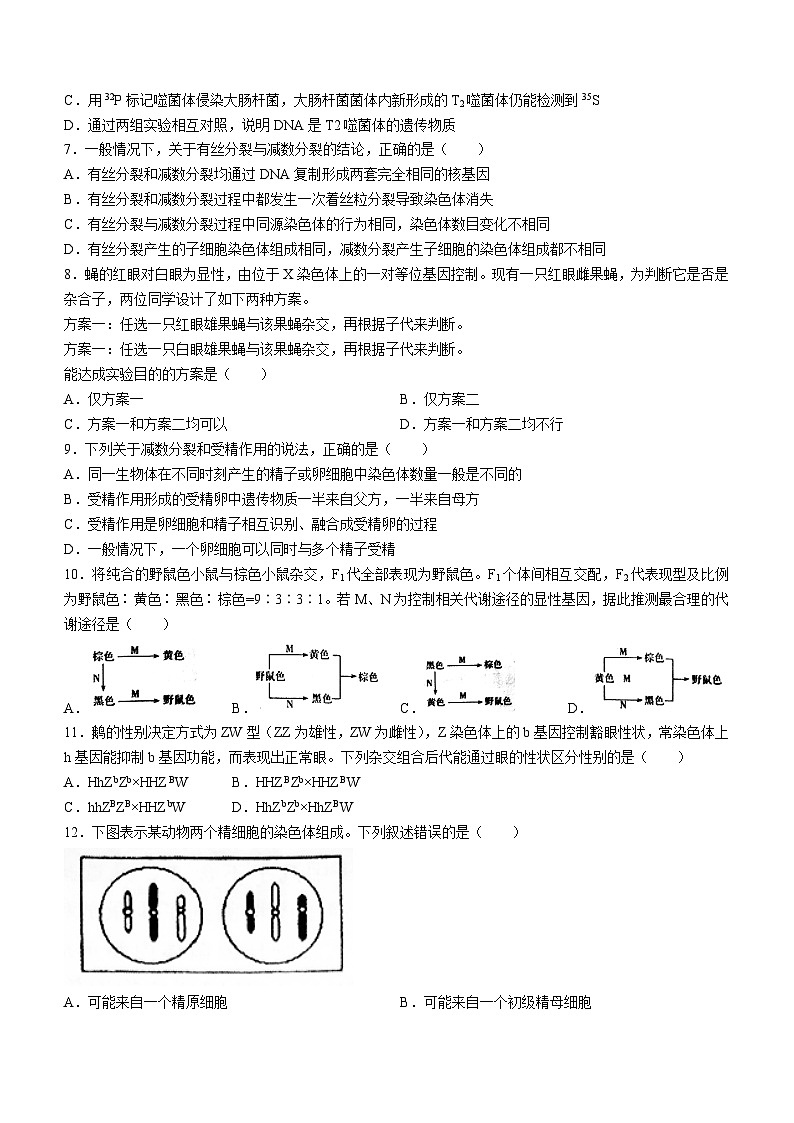 山西省运城市盐湖区康杰中学2023-2024学年高一下学期4月月考生物试题(无答案)02