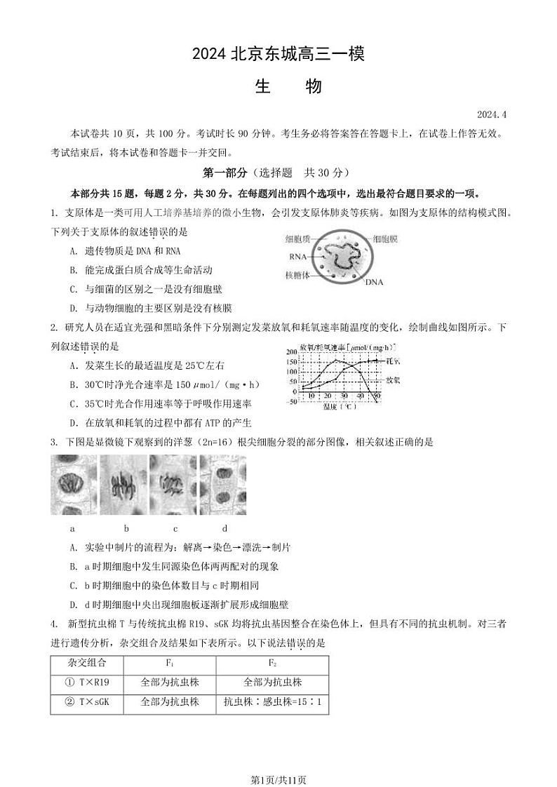 2024北京东城高三一模生物试题及答案第1页