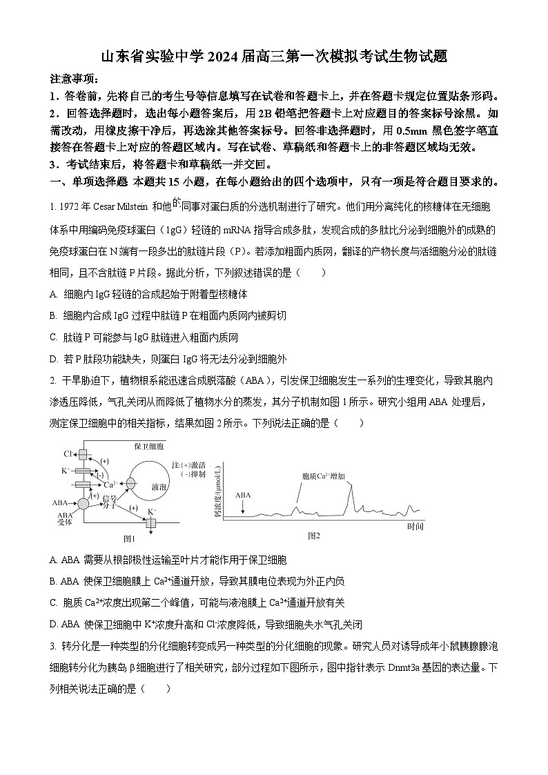 2024届山东省实验中学高三下学期一模考试生物试题01