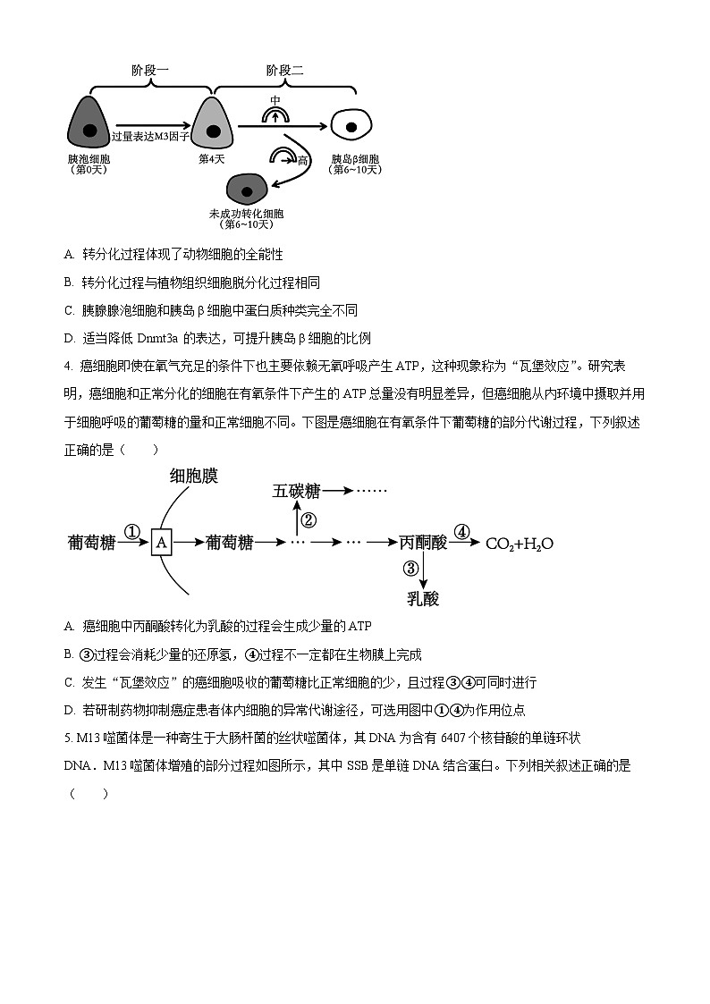 2024届山东省实验中学高三下学期一模考试生物试题02