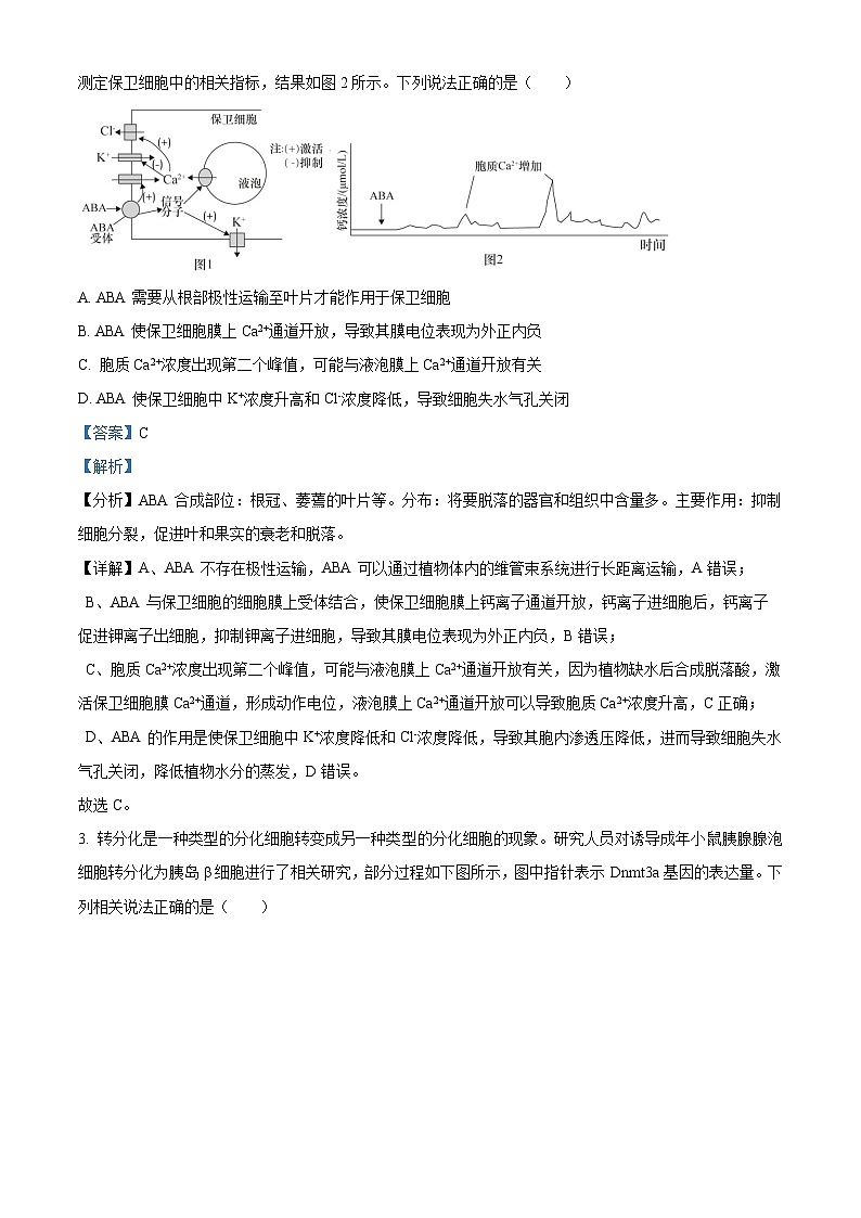 2024届山东省实验中学高三下学期一模考试生物试题02