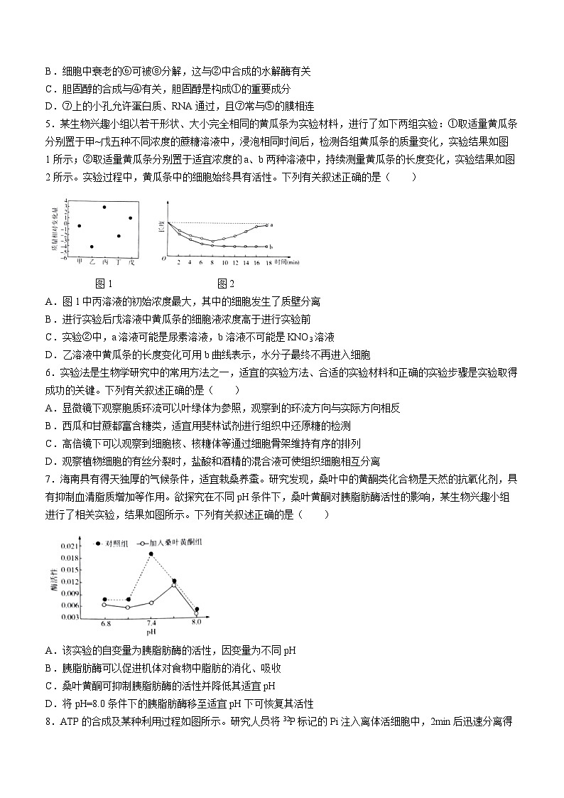 海南省文昌中学2023-2024学年高一下学期4月月考生物试题02