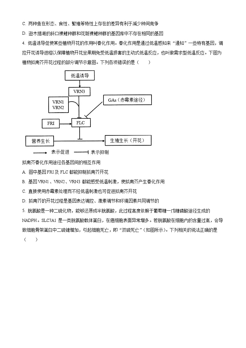 2024届新高考教学教研联盟高三第二次联考生物试卷（原卷版）第2页