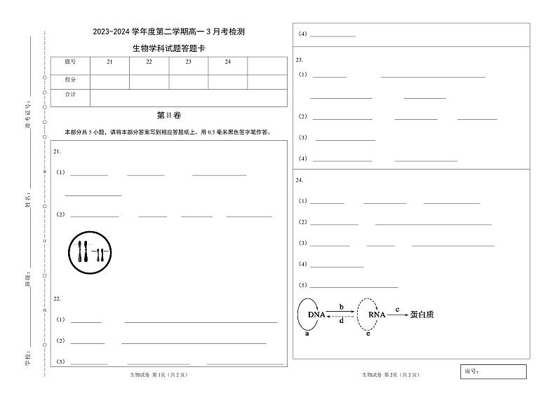 山东省淄博市张店区潘庄高级中学2023-2024学年高一下学期第一次月考生物试题(无答案)01