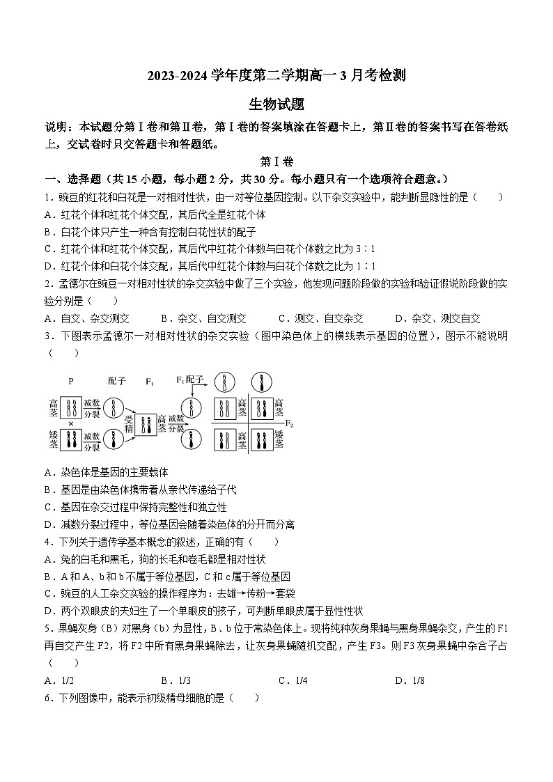 山东省淄博市张店区潘庄高级中学2023-2024学年高一下学期第一次月考生物试题(无答案)01