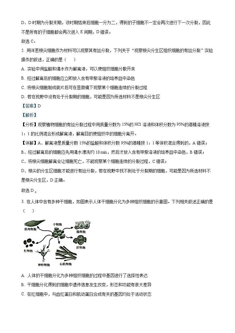 安徽省亳州市涡阳县2023-2024学年高一下学期4月月考生物试题（解析版）第2页