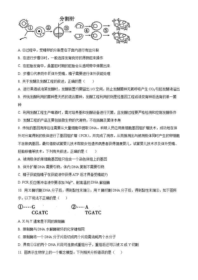 吉林省长春市朝阳区长春外国语学校2023-2024学年高二下学期4月月考生物试题（原卷版+解析版）03