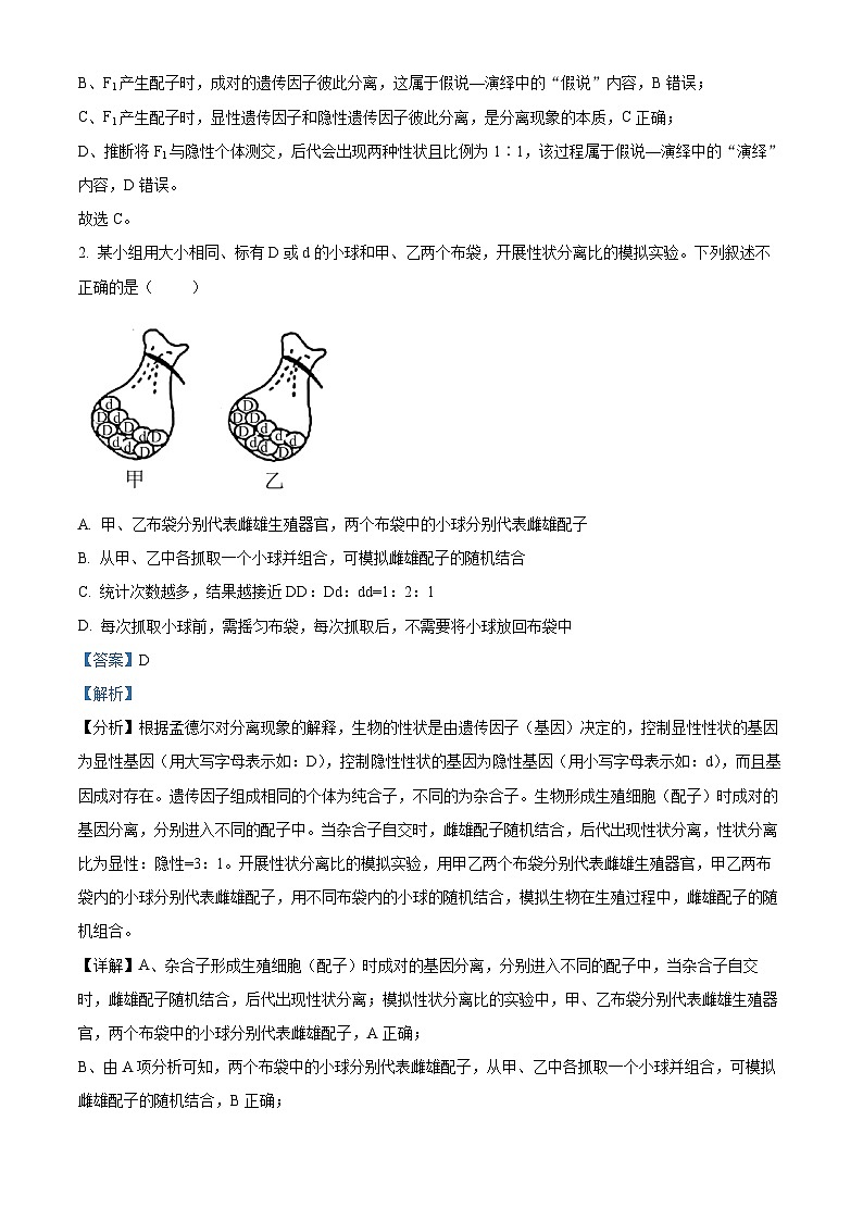 吉林省长春市朝阳区长春外国语学校2023-2024学年高一下学期4月月考生物试题（原卷版+解析版）02