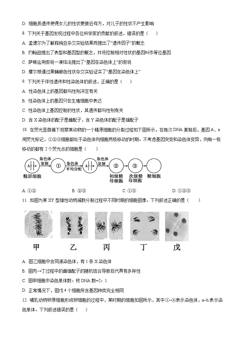 吉林省长春市朝阳区长春外国语学校2023-2024学年高一下学期4月月考生物试题（原卷版+解析版）03