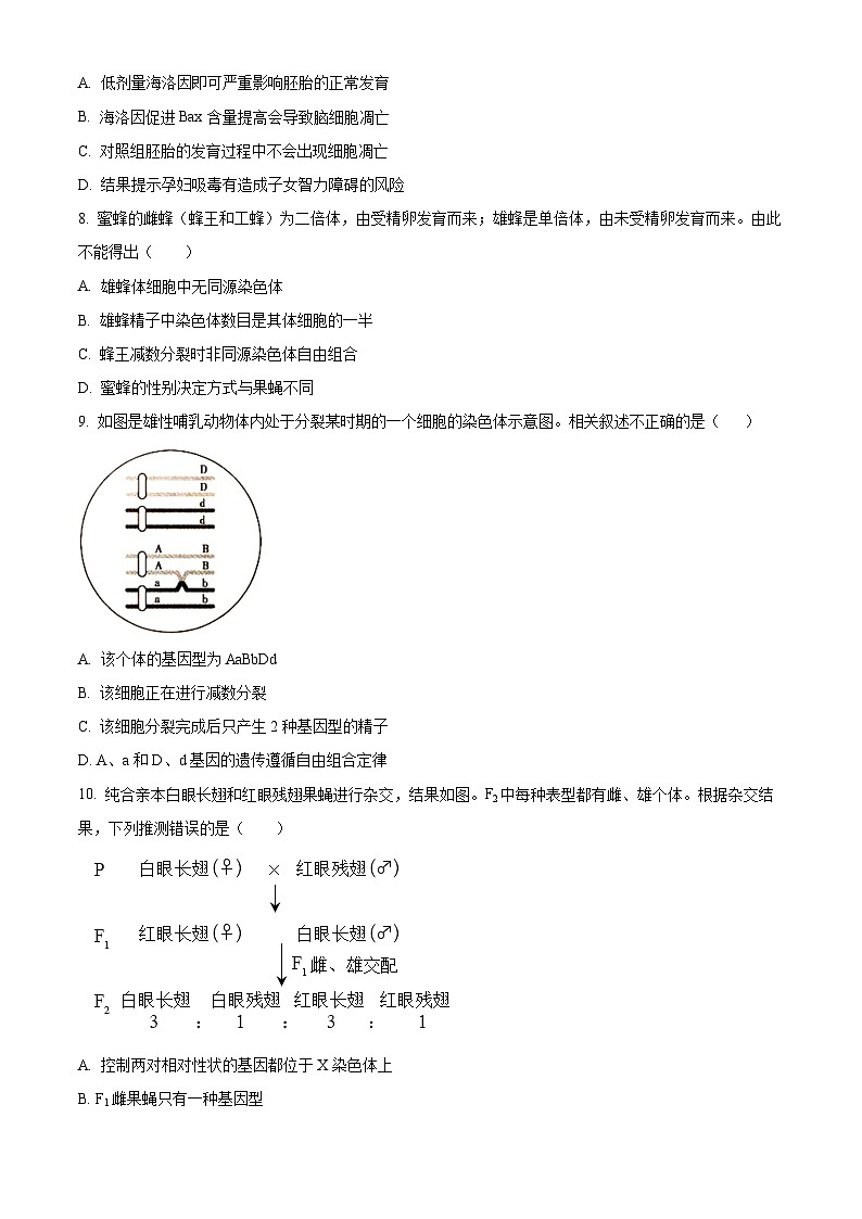 云南省昆明市第三中学2023-2024学年高二下学期4月月考生物试题（原卷版+解析版）03
