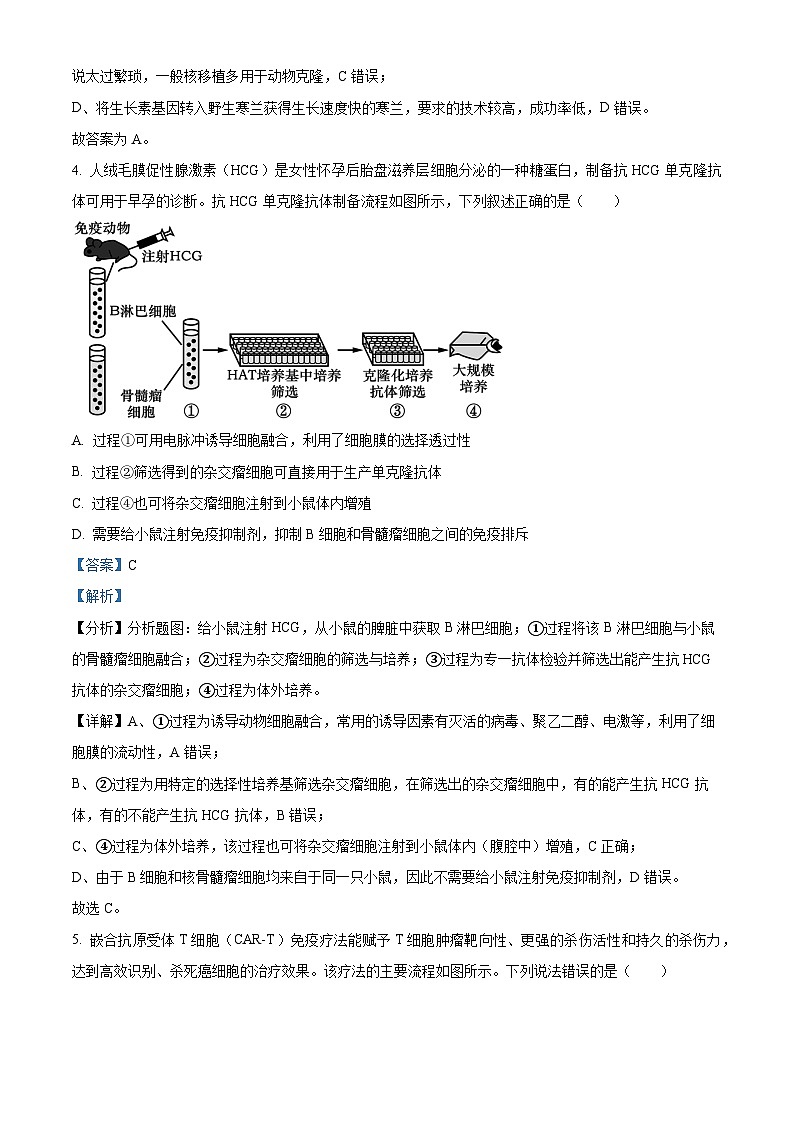 辽宁省沈阳市浑南区东北育才学校2023-2024学年高二下学期4月月考生物试题（解析版）第3页
