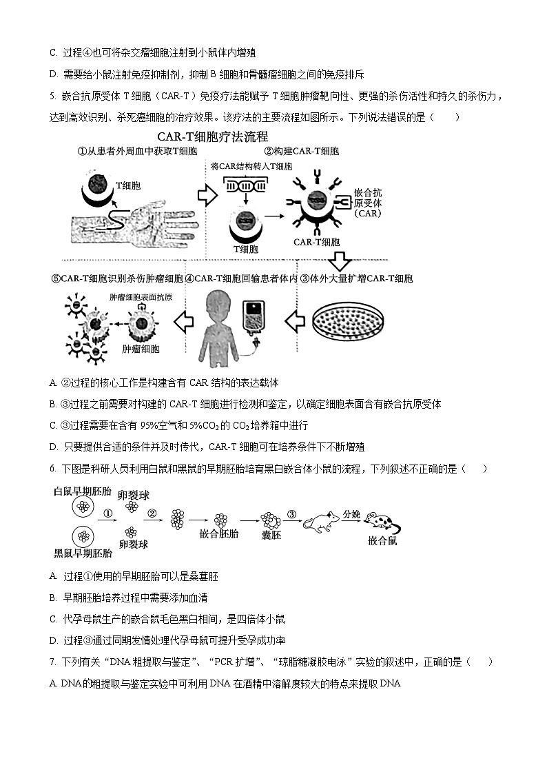 辽宁省沈阳市浑南区东北育才学校2023-2024学年高二下学期4月月考生物试题（原卷版）第2页