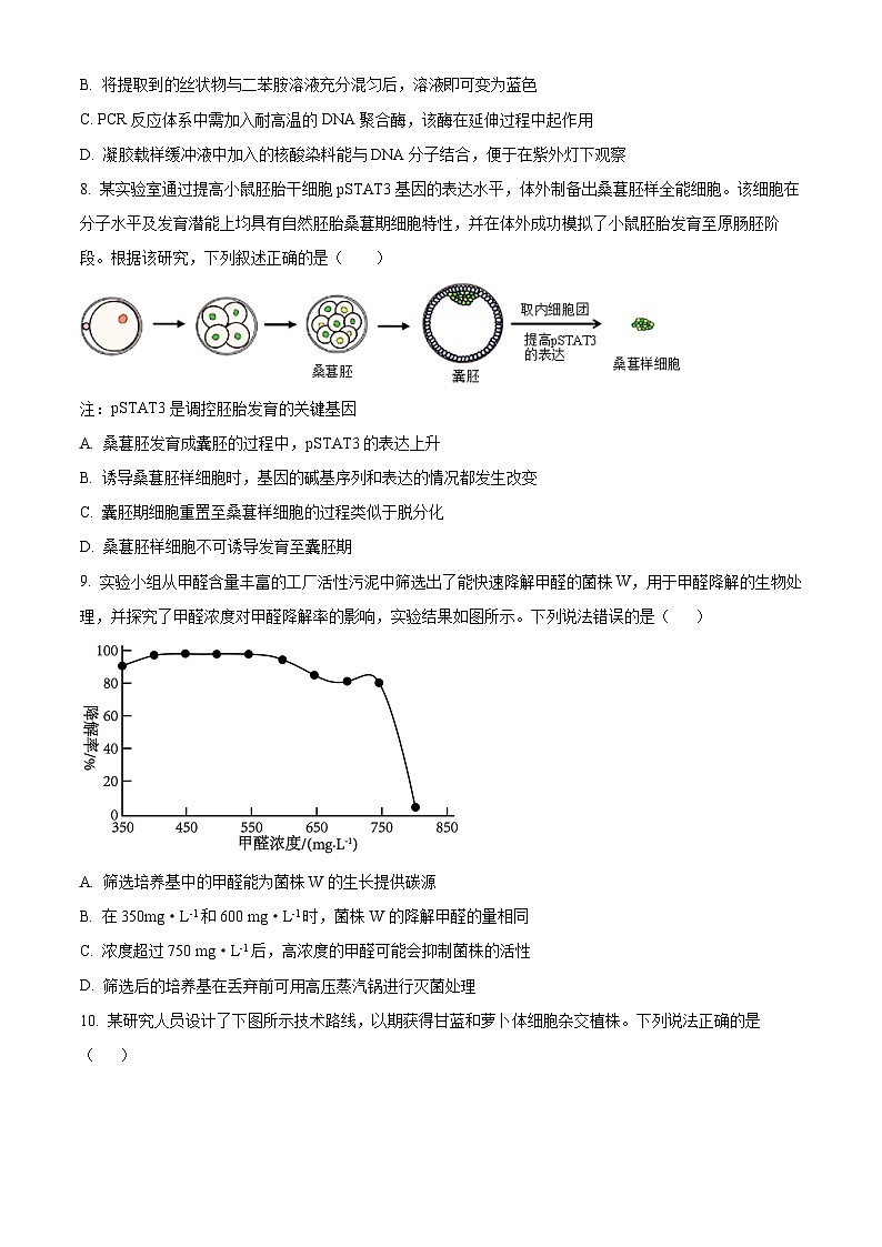 辽宁省沈阳市浑南区东北育才学校2023-2024学年高二下学期4月月考生物试题（原卷版）第3页
