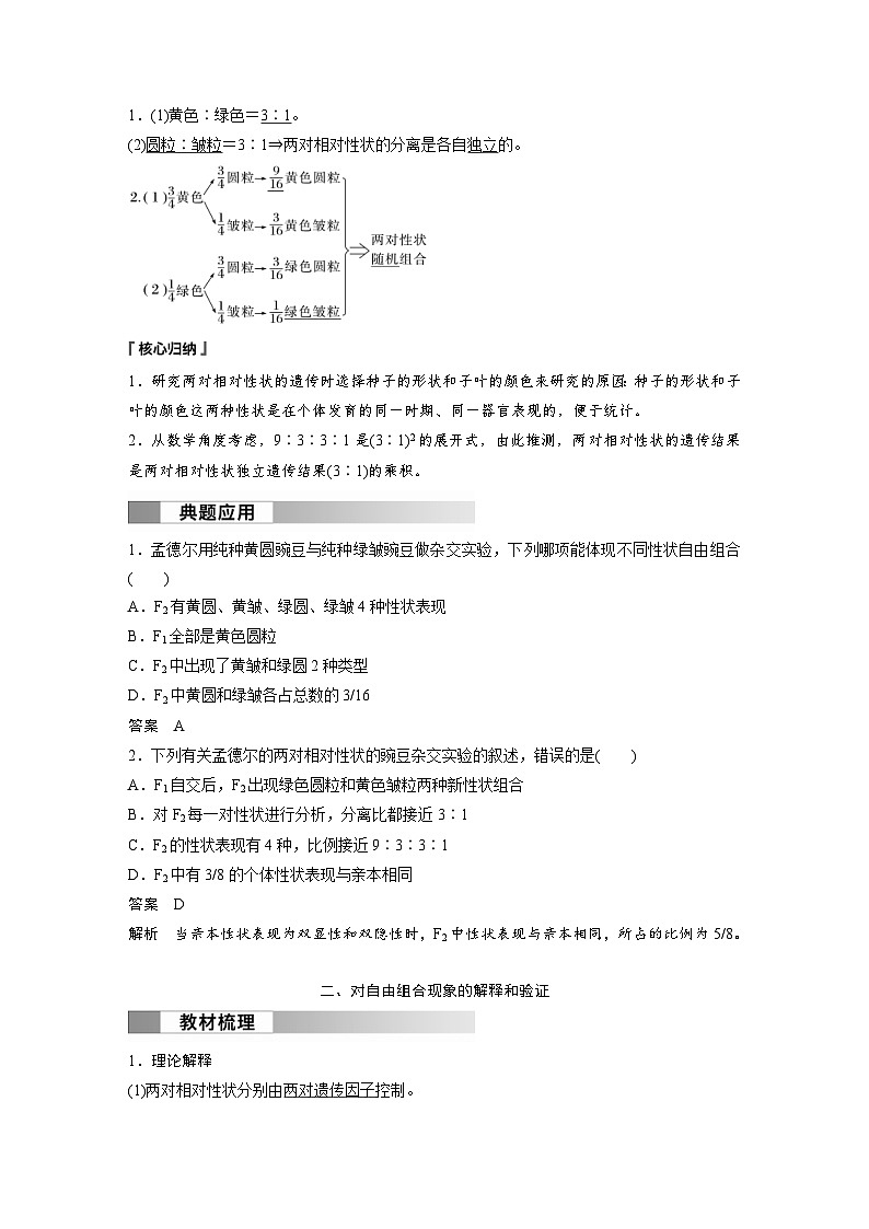 2024年高中生物新教材同步学案 必修第二册 第1章　第2节　第1课时　两对相对性状的杂交实验过程、解释和验证（含解析）02