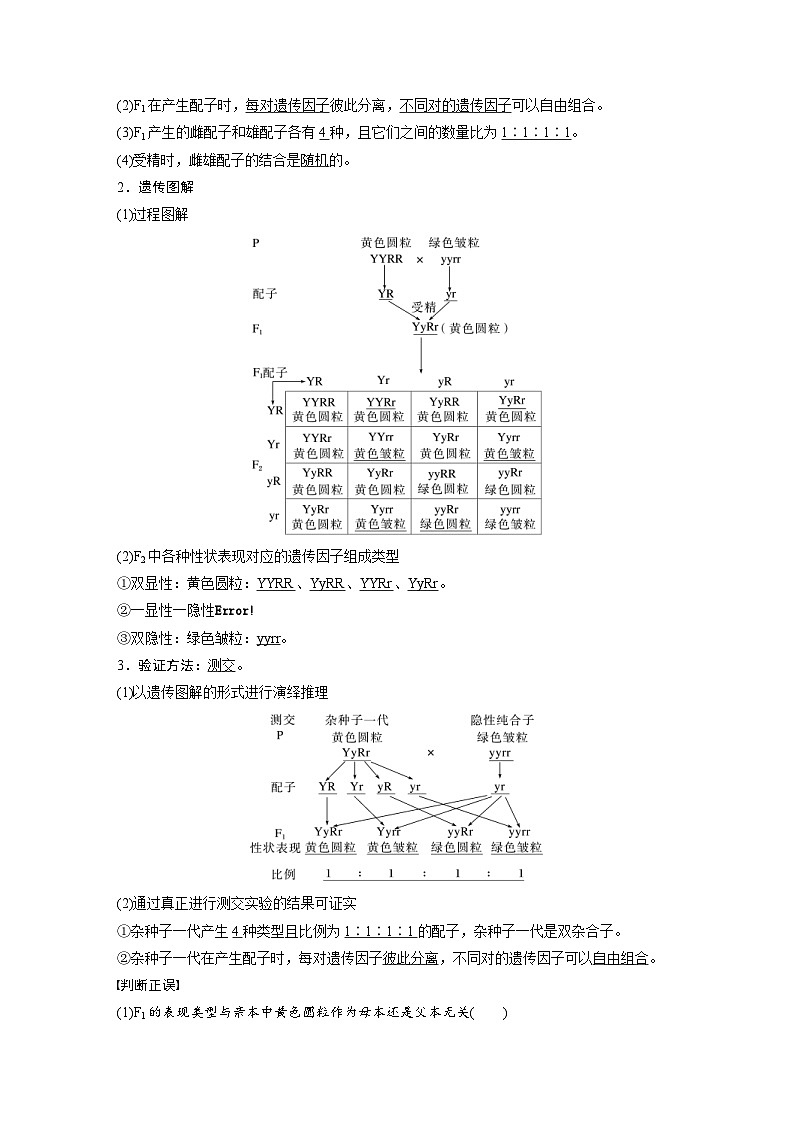 2024年高中生物新教材同步学案 必修第二册 第1章　第2节　第1课时　两对相对性状的杂交实验过程、解释和验证（含解析）03