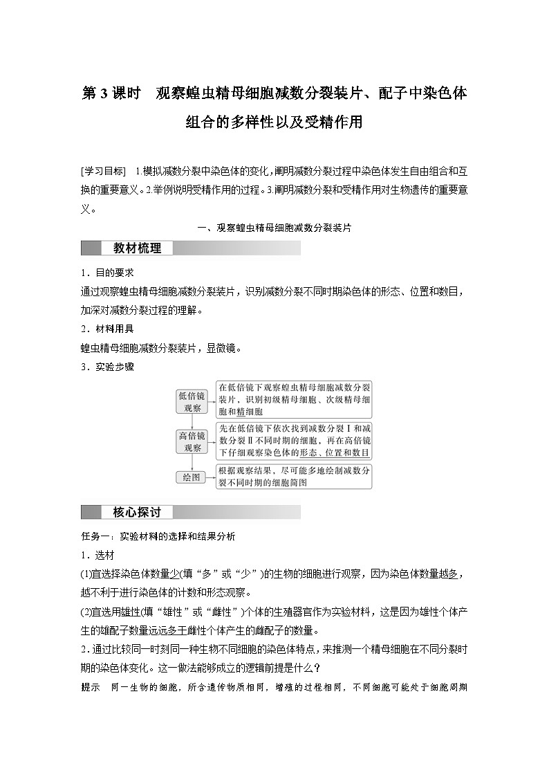 2024年高中生物新教材同步学案 必修第二册 第2章　第1节　第3课时　观察蝗虫精母细胞减数分裂装片、配子中染色体组合的多样性以及受精作用（含解析）01