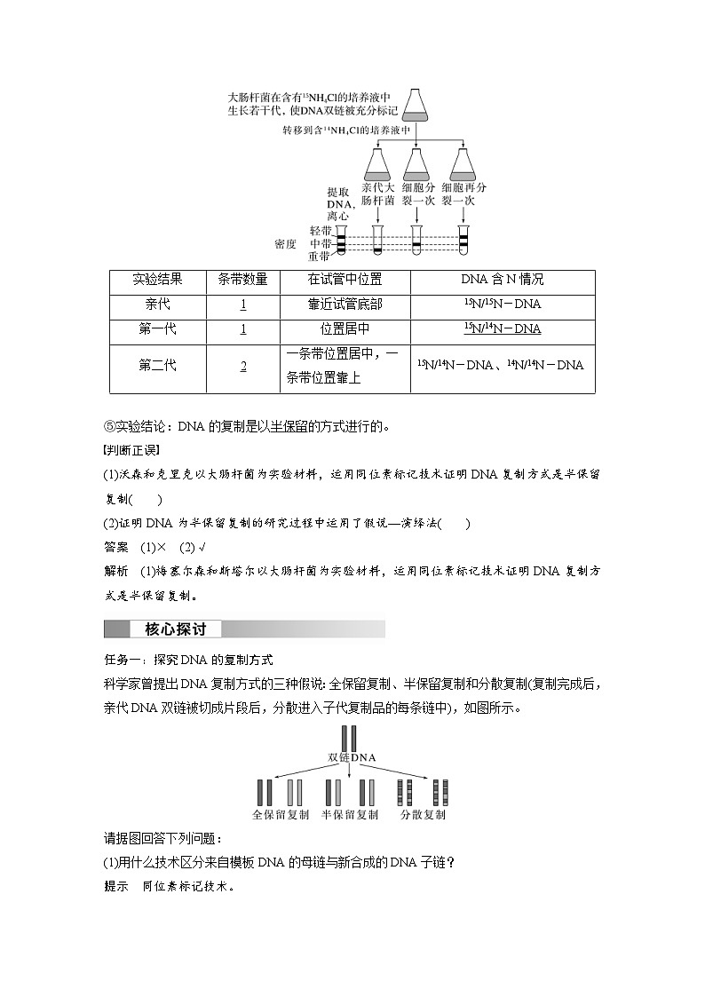 2024年高中生物新教材同步学案 必修第二册 第3章　第3节　DNA的复制（含解析）02