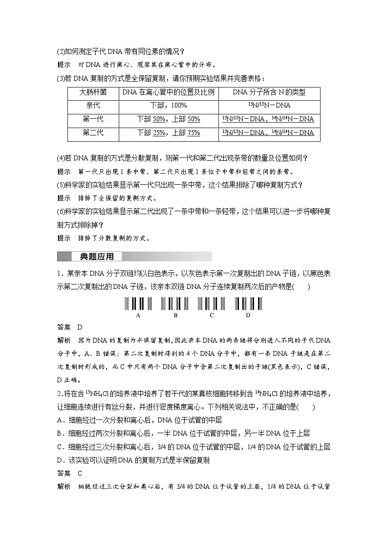 2024年高中生物新教材同步学案 必修第二册 第3章　第3节　DNA的复制（含解析）03