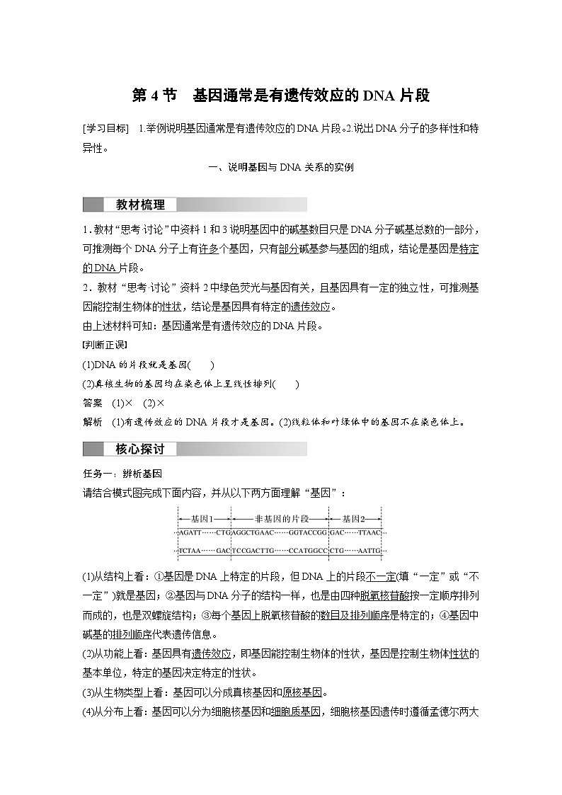 2024年高中生物新教材同步学案 必修第二册 第3章　第4节　基因通常是有遗传效应的DNA片段（含解析）01