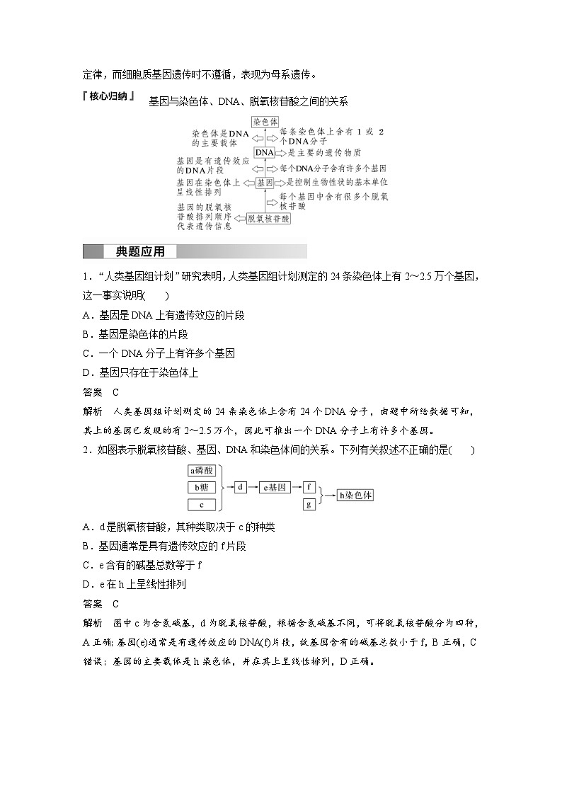 2024年高中生物新教材同步学案 必修第二册 第3章　第4节　基因通常是有遗传效应的DNA片段（含解析）02
