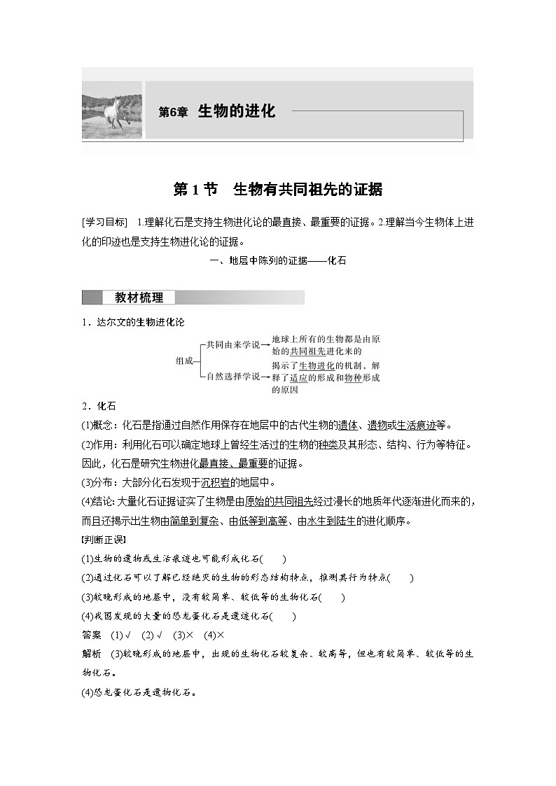 2024年高中生物新教材同步学案 必修第二册 第6章　第1节　生物有共同祖先的证据（含解析）01