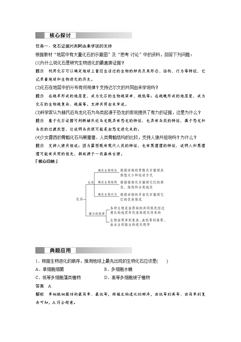 2024年高中生物新教材同步学案 必修第二册 第6章　第1节　生物有共同祖先的证据（含解析）02