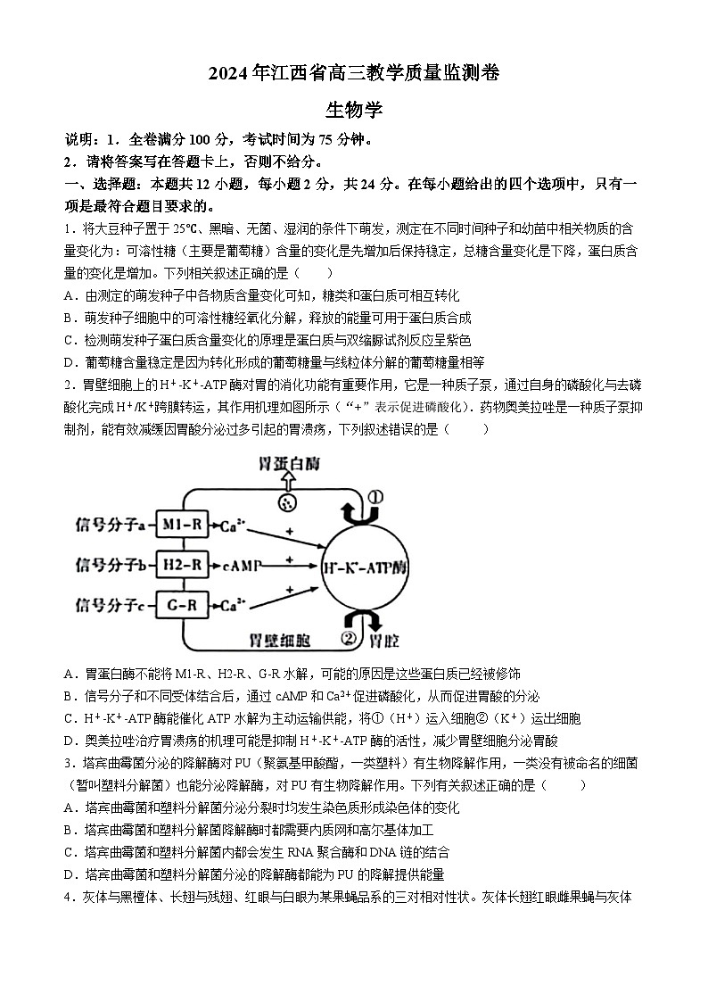江西省部分学校2024年高三下学期4月质量监测生物试题（Word版附解析）第1页