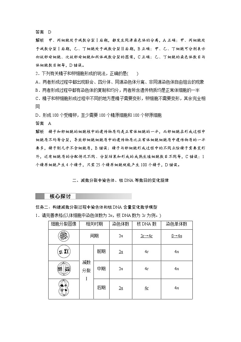 2024年高中生物新教材同步学案 必修第二册 第2章　第1节　第2课时　卵细胞的形成过程、细胞分裂综合题型解题规律（含解析）03