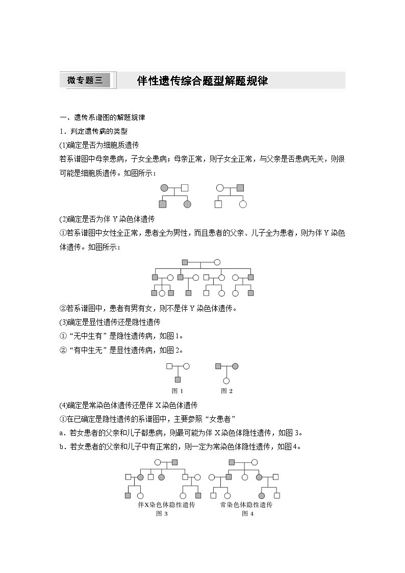 2024年高中生物新教材同步学案 必修第二册 第二章　微专题三　伴性遗传综合题型解题规律（含解析）01