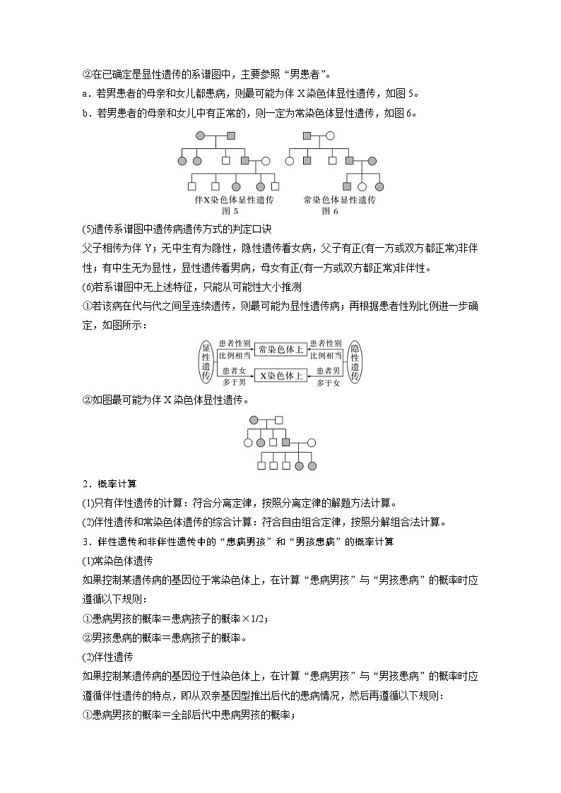 2024年高中生物新教材同步学案 必修第二册 第二章　微专题三　伴性遗传综合题型解题规律（含解析）02