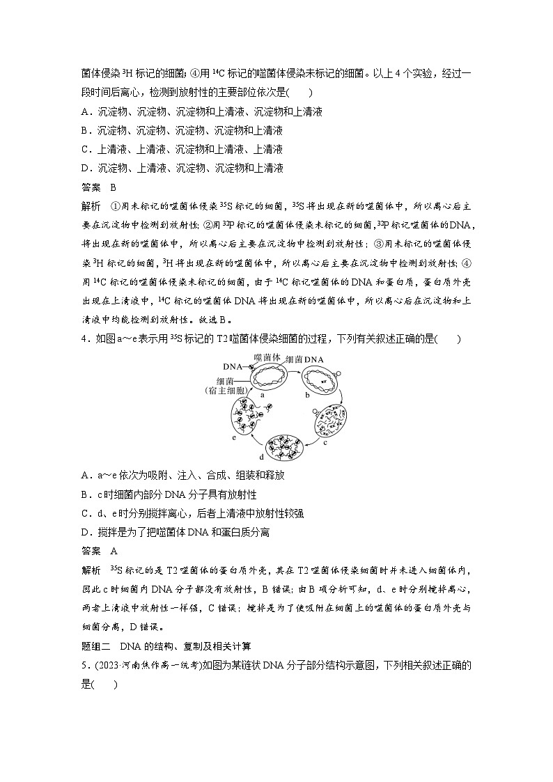 2024年高中生物新教材同步学案 必修第二册 第3章　重点突破练(三)（含解析）02