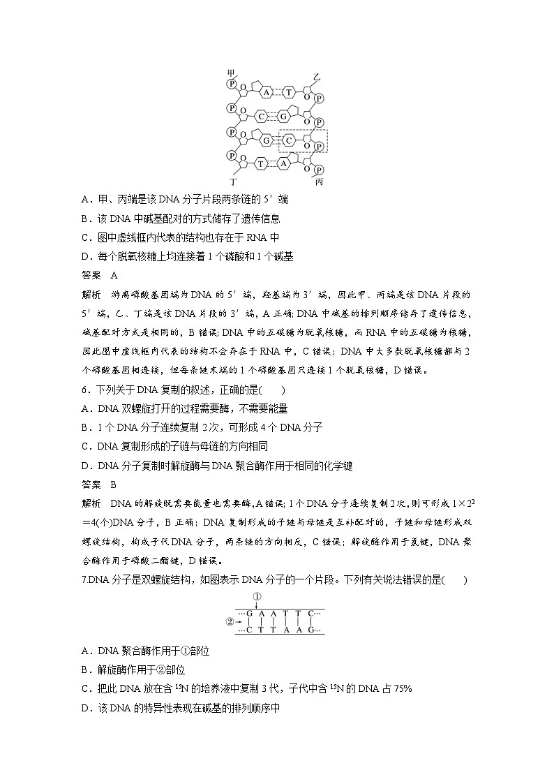 2024年高中生物新教材同步学案 必修第二册 第3章　重点突破练(三)（含解析）03