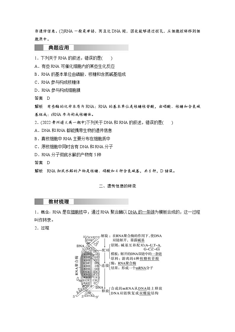 2024年高中生物新教材同步学案 必修第二册 第4章　第1节　第1课时　RNA的结构和功能、遗传信息的转录（含解析）第3页