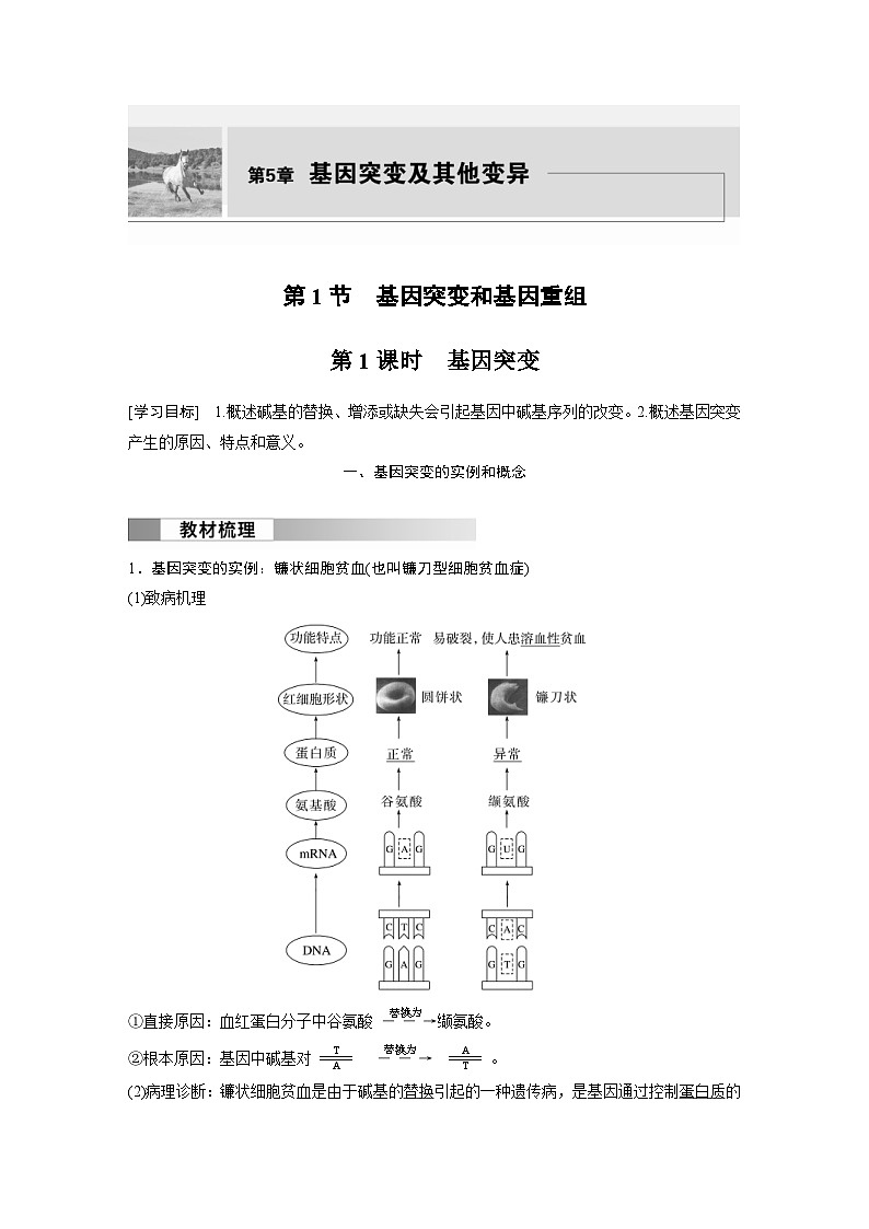 2024年高中生物新教材同步学案 必修第二册 第5章　第1节　第1课时　基因突变（含解析）第1页