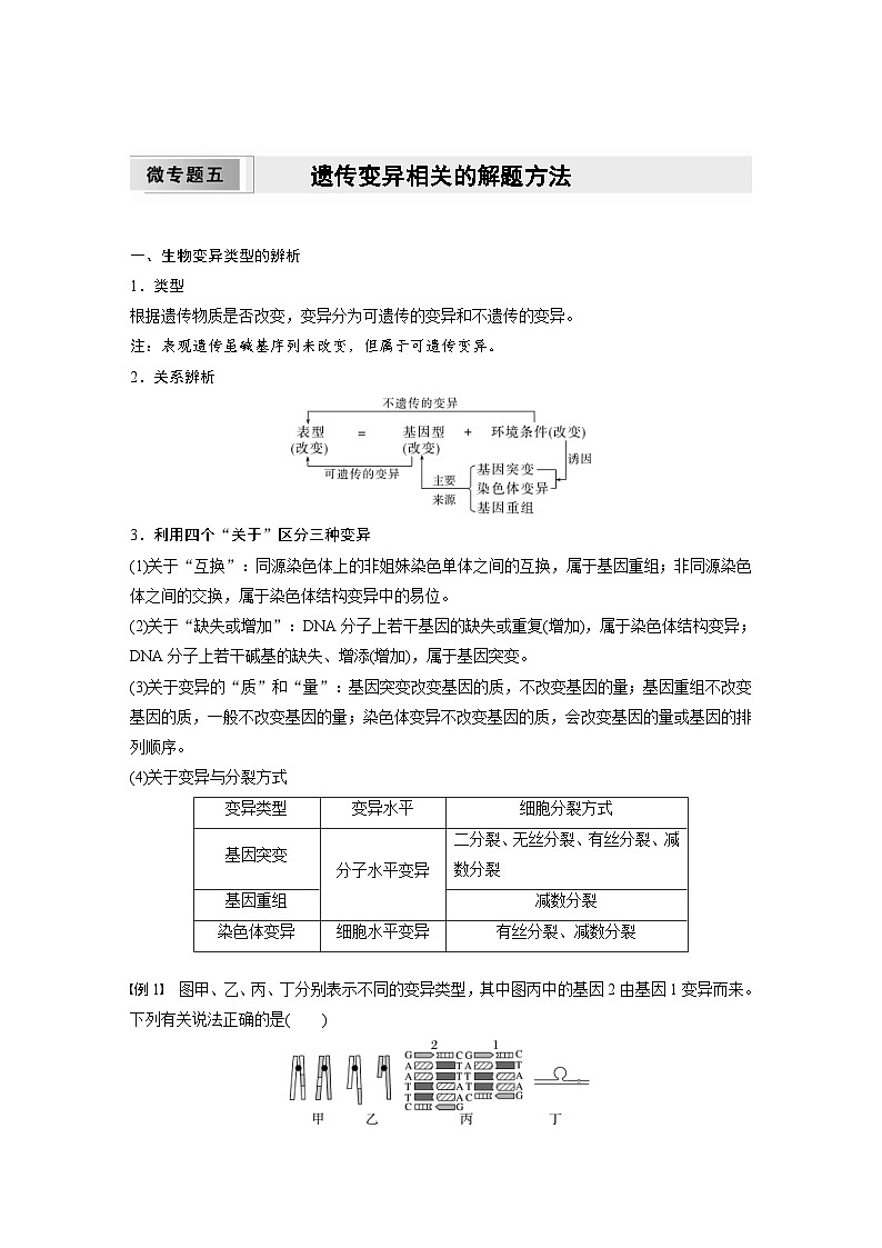 2024年高中生物新教材同步学案 必修第二册 第五章　微专题五　遗传变异相关的解题方法（含解析）01