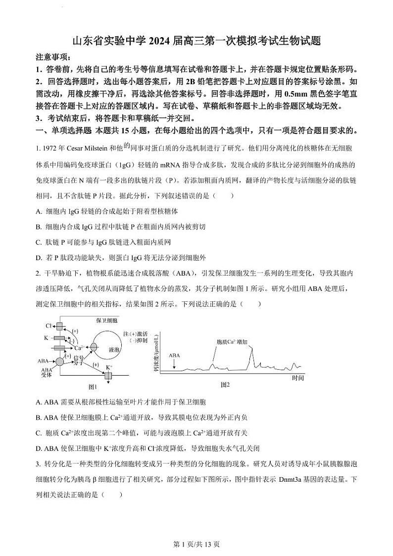 2024届山东省实验中学高三下学期4月一模考试生物试题及答案01