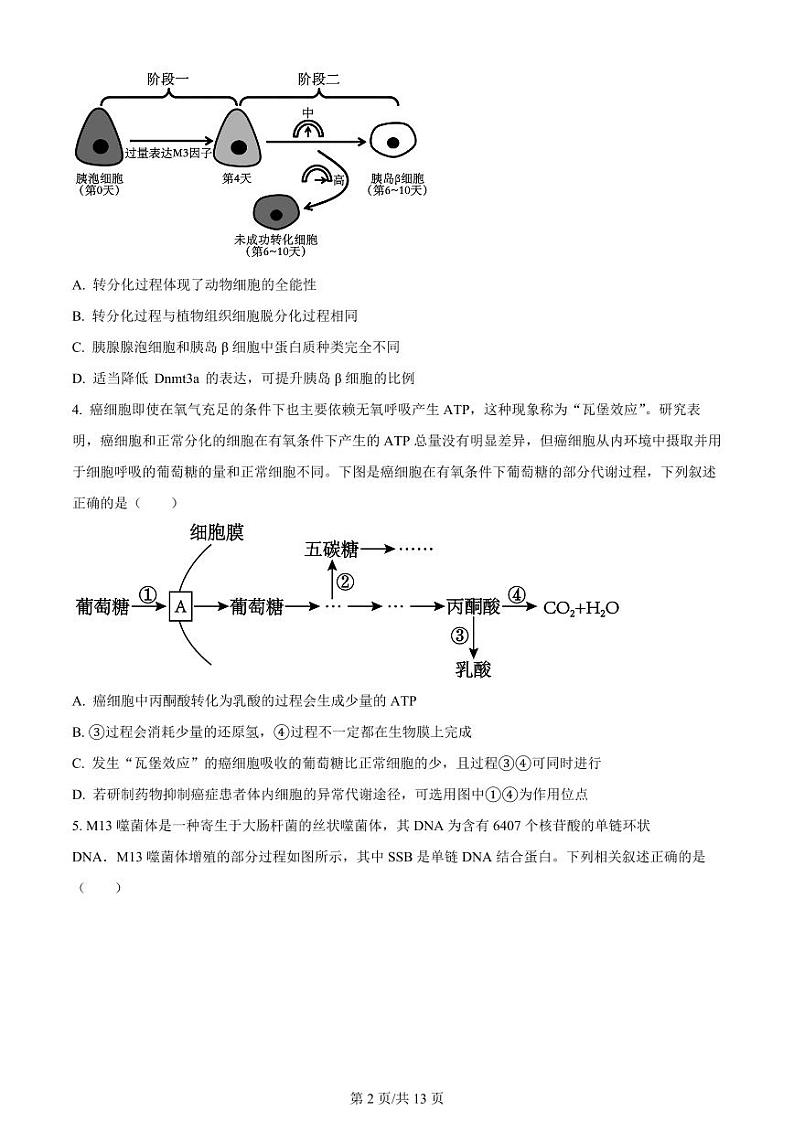 2024届山东省实验中学高三下学期4月一模考试生物试题及答案02