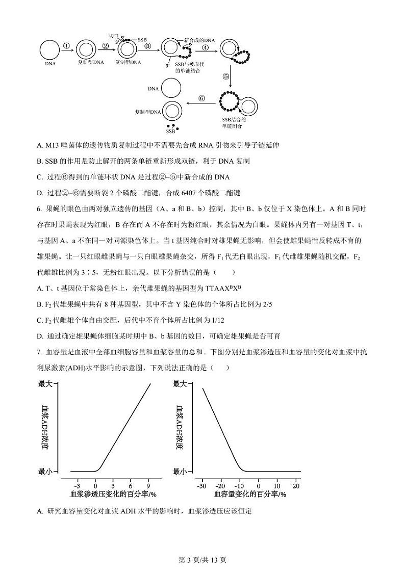 2024届山东省实验中学高三下学期4月一模考试生物试题及答案03