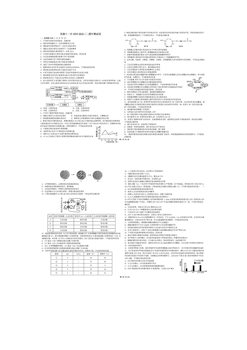 2023届安徽省芜湖市第十二中学高三下学期二模生物试卷01