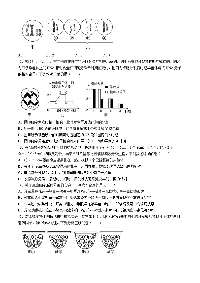 四川省眉山市仁寿县2023-2024学年高一下学期4月期中考试生物试题03
